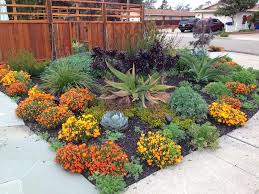 Drought Tolerant Plants Florida Zone 9 Flowering Full Sun Drought Tolerant Garden Drought Resistant Landscaping Drought Tolerant Landscape Design