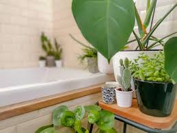 C'est une idée originale, peu coûteuse et écologique qui met la nature au centre de votre intérieur. Cactus Dans La Salle De Bains Photo Stock Image Du Petit Cactus 75590422