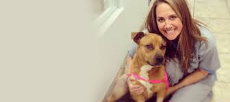 Our customized adoption process is designed to find the best fit for adopters, whatever they may be looking for. Noah S Arks Rescue