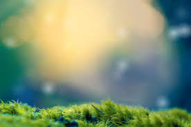 Cb Background Images Hd Nature Largest Wallpaper Portal Free for commercial use no attribution required high quality images. cb background images hd nature