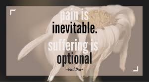 Suffering is optional the goal of acceptance and commitment therapy (act) is to create a rich, full, and meaningful life while accepting the pain that inevitably goes with it. Pain Is Inevitable Suffering Is Optional Michelle K Yoga Experiences