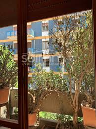 Appartamenti in vendita a cagliari. Appartamento In Vendita A Cagliari Cod Ao205