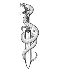 I'm just compelled that way for reasons beyond the scope of this article on. Snake Tattoo Stock Photos And Images 123rf