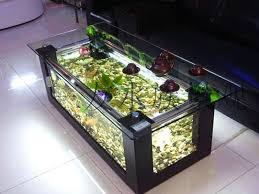 ✅ browse our daily deals for even more savings! Beautiful Coffee Table Aquariums Aquarium Coffee Table Fish Tank Coffee Table Coffee Table Design