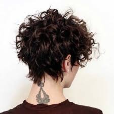 This chin length curly hair style perfectly frames your face and works best for women with thin curly hair. Hair Range A Style Of Short Curly Hair In 2017
