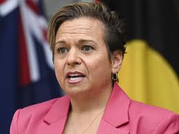 Misinformation Bill is about safeguarding Australians: Michelle Rowland