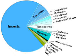 Illinois Natural History Survey Animals