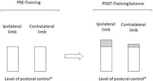 Look through examples of ipsilateral translation in sentences, listen to pronunciation and learn grammar. Frontiers Cross Education Related To The Ipsilateral Limb Activity On Monopedal Postural Control Of The Contralateral Limb A Review Physiology