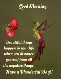 Pin By Zi Lopes On Saudacoes Good Morning Quotes Morning Inspirational Quotes Good Morning Inspirational Quotes