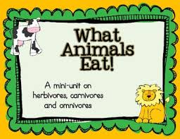 Herbivores Carnivores And Omnivores What Animals Eat