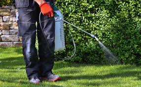 Lawn care professionals use it to save time and money by automating everyday office tasks. What To Do When You Miss A Pre Emergent Application