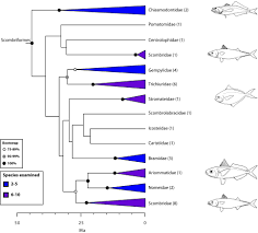 The Tree Of Life And A New Classification Of Bony Fishes