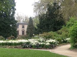 Spaziergang Fur Die Sinne Garten Deko Garten Weisse Blumen