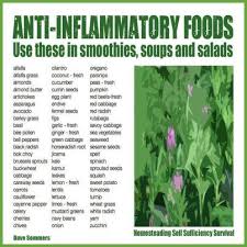 Anti Inflammatory Breakfast Foods Cooking On A Budget