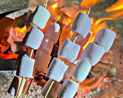 Kamp Marshmallow resmi