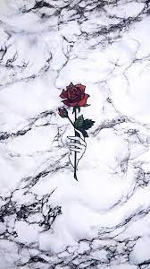 Pin By Omomi Rokhum On W A L L P A P E R S Aesthetic Iphone Wallpaper Cute Wallpaper Backgrounds Flower Wallpaper