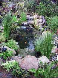 Create Beautiful Water Garden Ponds Hybrid Ponds And Crossover Ponds With The Easy To Clean Ahi Hydro Tra Waterfalls Backyard Ponds Backyard Pond Landscaping