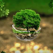 World Environment Day 2024: Wishes, Greetings, Quotes, Images For Students