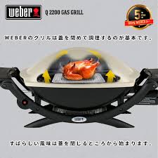 Chicken, beef, lamb, pork and fish. Weber Q Gas Grills Q 2200 Titanium Best Offer