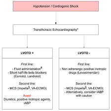 Image result for Left Ventricular Outflow Obstruction