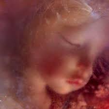 The chief struck her enchanted wand, and commanded a beautiful rich casket all covered with diamonds and other precious stones to appear; Girl In A Coffin Uncovered Months Ago In San Francisco Finally Identified Kmph