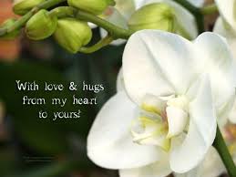 A Beautiful White Orchid For Someone You Love Love Hug Hug Love Quotes
