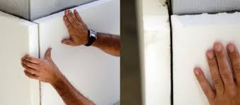 Image result for Monosis