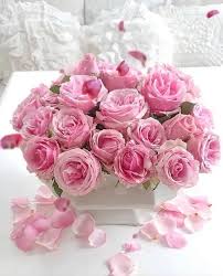 1 Media Tweets By Carole Dreamy0107 Twitter Nel 2020 Fiori Di Compleanno Fiori Finti Fiori Di Seta