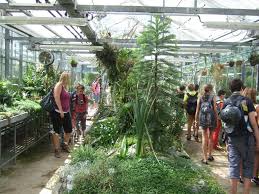 Im regionalmagazin fuer uns gab es schon zwei beiträge zum botanischen garten. 6 Klasssen Zu Gast In Der Grunen Schule An Der Universitat Regensburg Ludwigsgymnasium Straubing