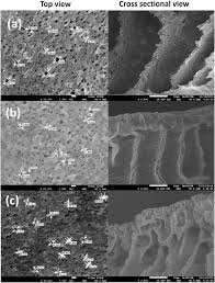 Kaka pvc profile | shreeji plast mart. Feg Sem Images Top And Cross Sectional View Of Raw Pvc Membrane A Download Scientific Diagram