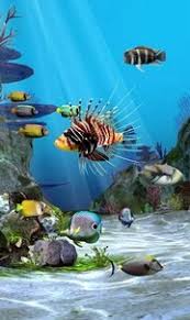 If you enjoy this, get the full version to customize your aquarium with up to 14 simultaneous fish! Aquarium Live Wallpapers For Android