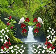 This is the newest place to search, delivering top results from across the web. Top 30 Si Esta Bonita Gifs Find The Best Gif On Gfycat