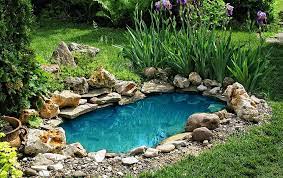 Maybe you would like to learn more about one of these? Pond Pump Troubleshooting Guide