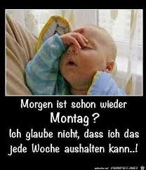 Jede Woche Das Gleiche In 2020 Witzige Spruche Witzige Babys Baby Memes