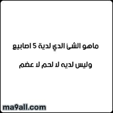الغاز سهله مع الحل 2020 افضل ألغاز سهلة مثيرة Girly Quotes Pintrest Quotes