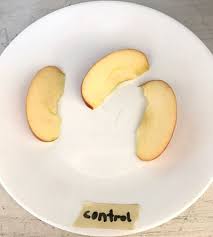 Why Does Fruit Turn Brown Science Project