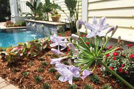 On our new yt channel we are going to present what we do and how we can. Garden Doctors Landscaping Project Photos Reviews New Orleans La Us Houzz