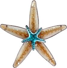 Fishbones metal wall art, best nautical wall decor. Buy Joybee 13 25inch Metal Glass Starfish Wall Art Decor Sea Life Nautical Home Decor Ocean Coastal Theme Wall Art Decorative For Garden Home Patio Kitchen Livingroom Bathroom Loop Online In Turkey B08dxk7f3p