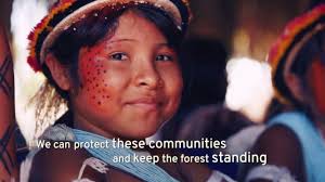 Time for action that protects the climate, biodiversity and indigenous  rights