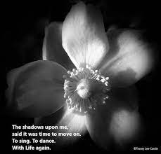 This is obvious, because every day you see as in any genre of photography, there are universal rules and recommendations, as well as tips and tricks for getting the best floral pictures. Black And White Flower Quote Flower Quotes Manipulated Photography Photography