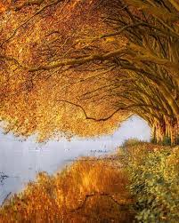 Baldeneysee Essen Germany Lake Travel And Tourism Autumn Photography Travel Photography