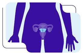 Image result for Cervical Cancer