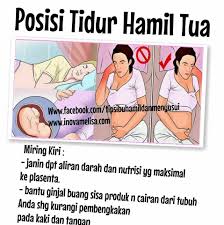 Explore more like gambar kartun ibu hamil. Gambar Posisi Tidur Ibu Hamil 7 Bulan