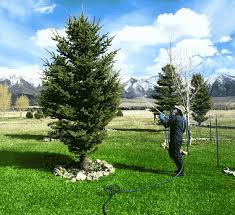 Pest control experts are familiar with all the methods available and can take care of the problem quickly and efficiently. Yard Guard Livingston Yard Guard Montana