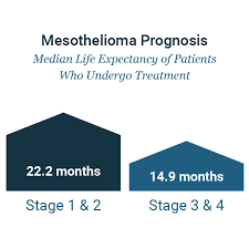 If mesothelioma is diagnosed, it is important to begin treatment as soon as possible. Mesothelioma Prognosis Improving Prognosis Impacting Factors