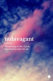 I Wandered Through The Forest Like A Nubivagant Dove Unusual Words Weird Words Uncommon Words