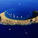 Best places to snorkel on maui