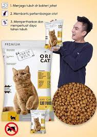 Untuk kucing persia dewasa (di atas 1 tahun) kamu bilang langsung memberikan makanan kering. Cat Food Ori Cat 1kg Oricat Makanan Semua Jenis Kucing Persian Anggora Kampung Bagus Untuk Bulu Lazada Indonesia