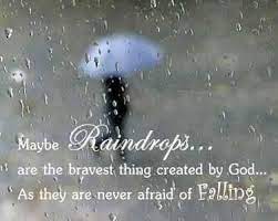 Raindrops are my only reminder that clouds have a heartbeat. Maybe Raindrops Are The Bravest Thing Created By God As They Are Never Afraid Of Falling Rainy Day Quotes Rain Quotes Rain Drops