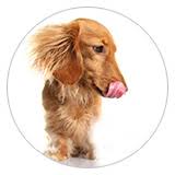 The dog and puppy food calculator below is a quick and easy way to get rough estimates of how large or small a serving to feed your. Barf Calculator Frostfutter Perleberg